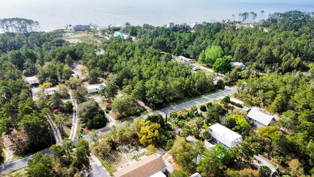2098 Lighthouse Road Carrabelle, FL 32322 - Photo 6 of 8 Gallery Image 6