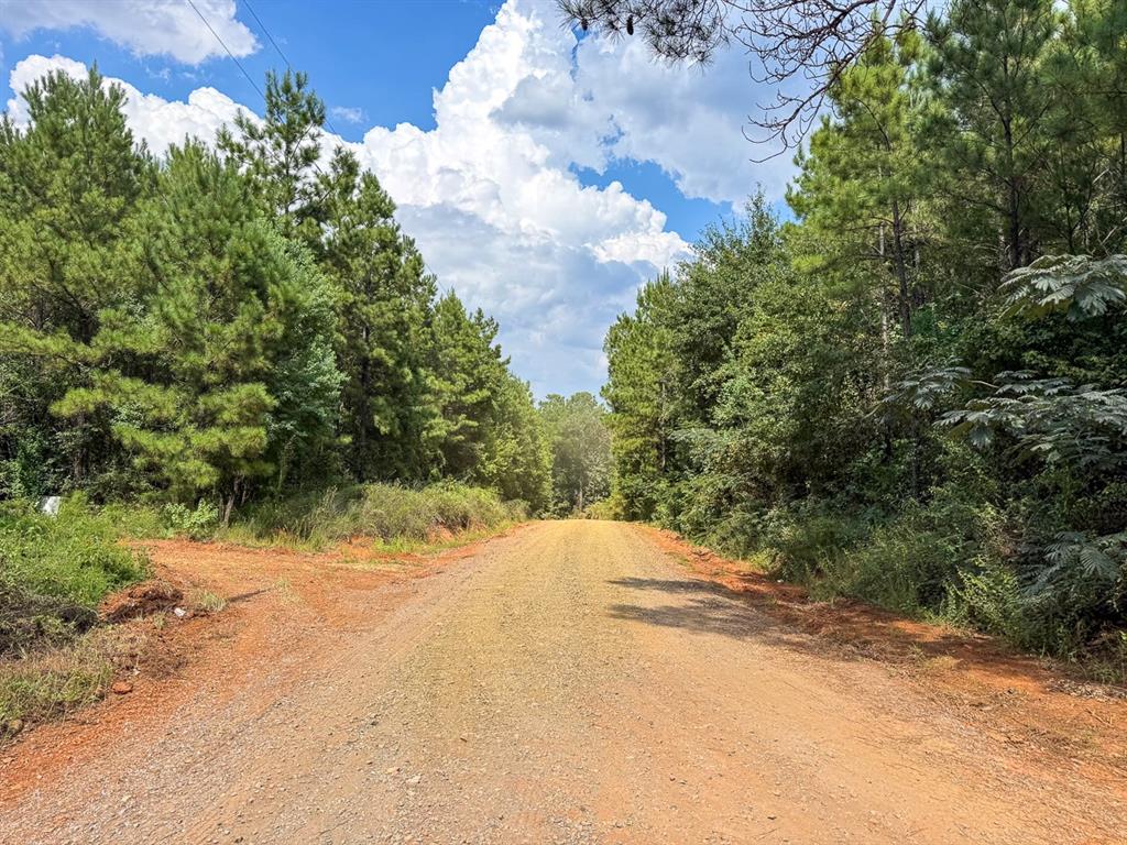 T-1 Provencal Vowell Mills Road Provencal, LA 71468 - Photo 3 of 17 a view of a yard with plants and wooden fence