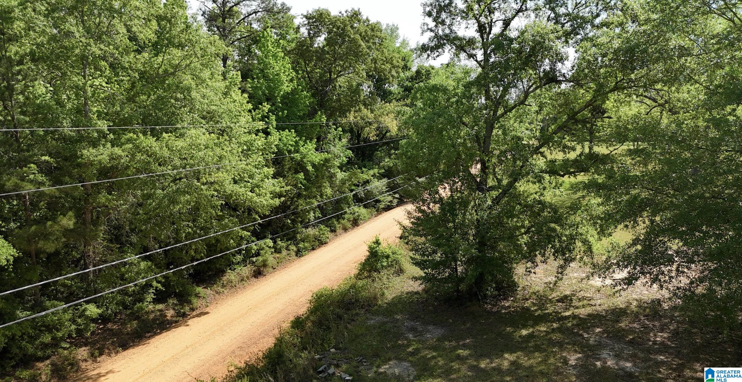 Blueberry Road, Unit X Seale, AL 36875 - Photo 3 of 5