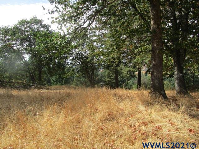 1066 Twin Hills Road Southeast Jefferson, OR 97352 - Photo 13 of 13