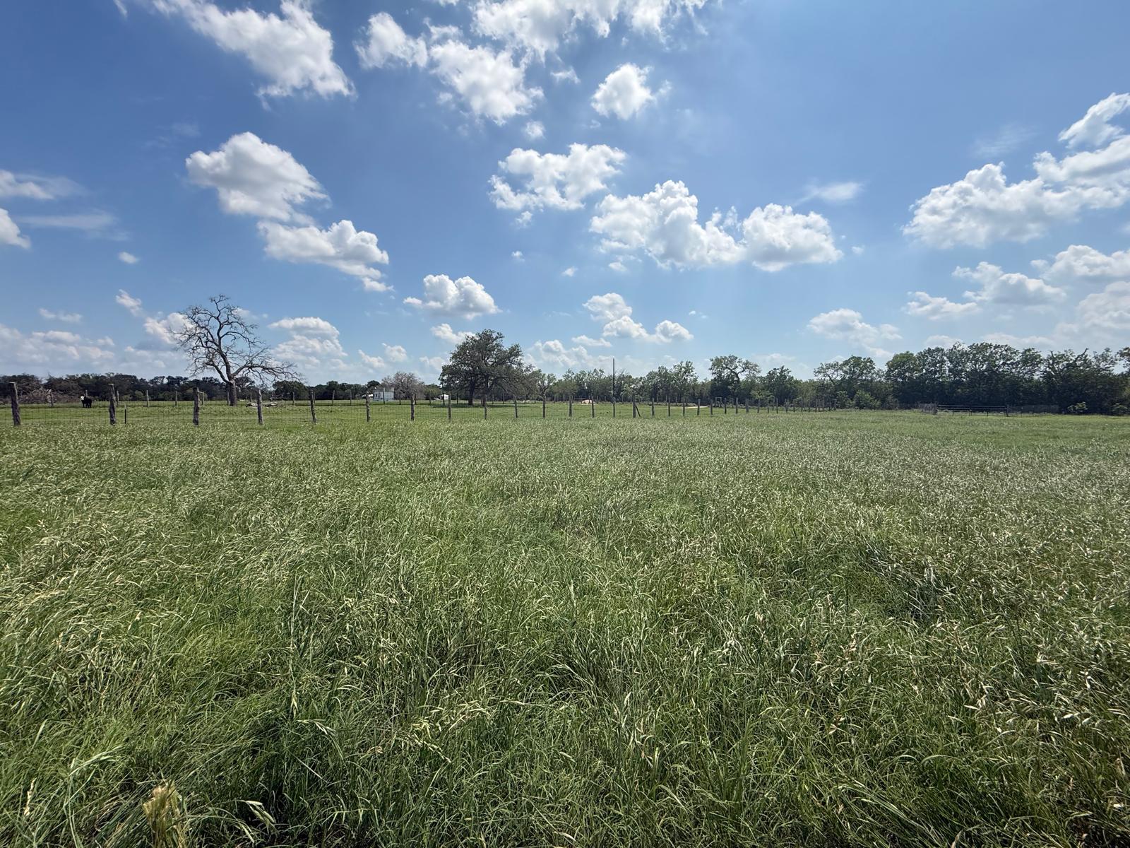 5309 Tenney Creek Road Luling, TX 78648 - Photo 5 of 10 Acres of verdant pasture land await, outlined by a classic wooden fence.