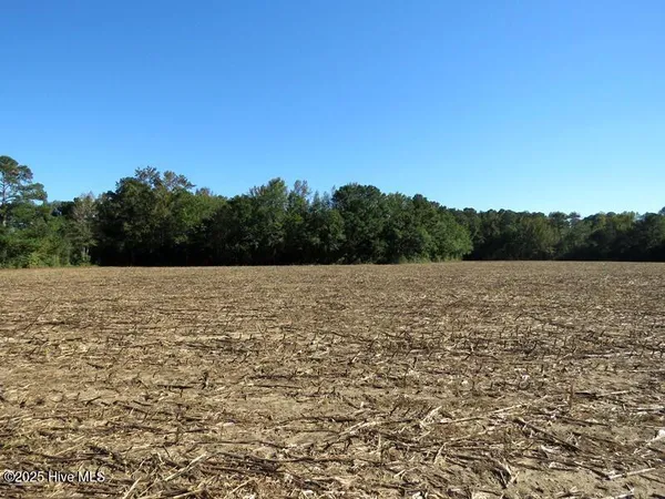 $170,000 | 7 Conway Road, Fair Bluff, NC 28439