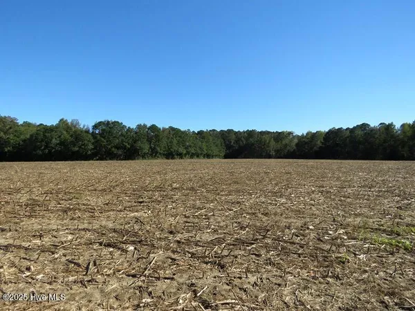 $170,000 | 7 Conway Road, Fair Bluff, NC 28439