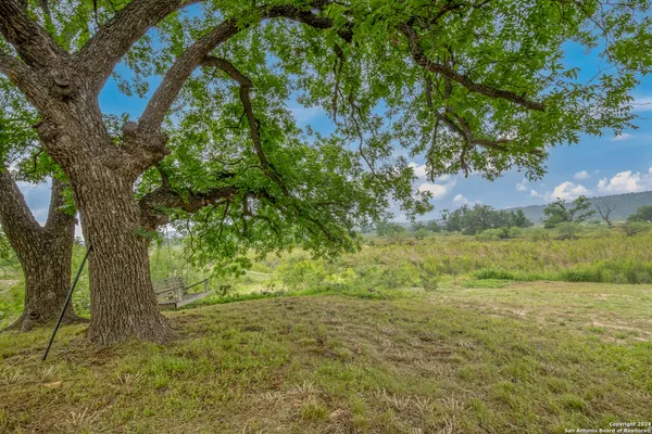 a view of a yard with a tree