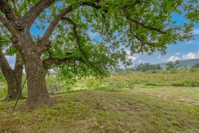 a view of a yard with a tree