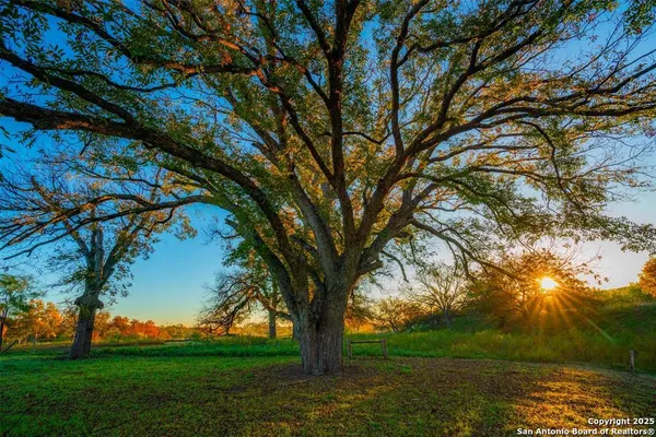 a view of outdoor space with garden view