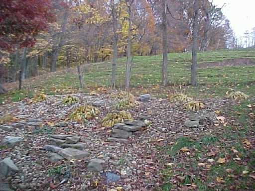 134 Fishpot Road Fredericktown, PA 15333 - Photo 4 of 6 Other.