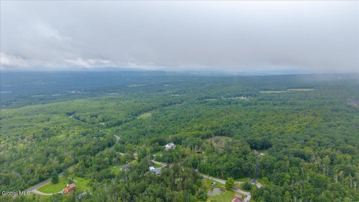 181 Liddle Road, Unit LOT 2 Duanesburg, NY 12306 - Photo 4 of 8 3-181 Liddle Rd-3