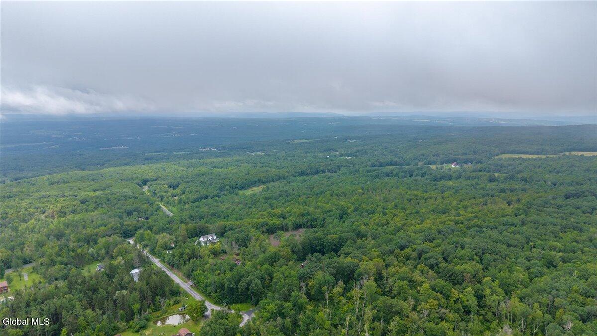 181 Liddle Road, Unit LOT 2 Duanesburg, NY 12306 - Photo 5 of 8 4-181 Liddle Rd-4