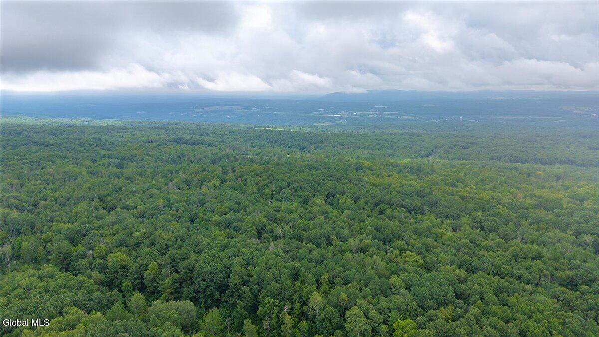 181 Liddle Road, Unit LOT 2 Duanesburg, NY 12306 - Photo 8 of 8 7-181 Liddle Rd-7