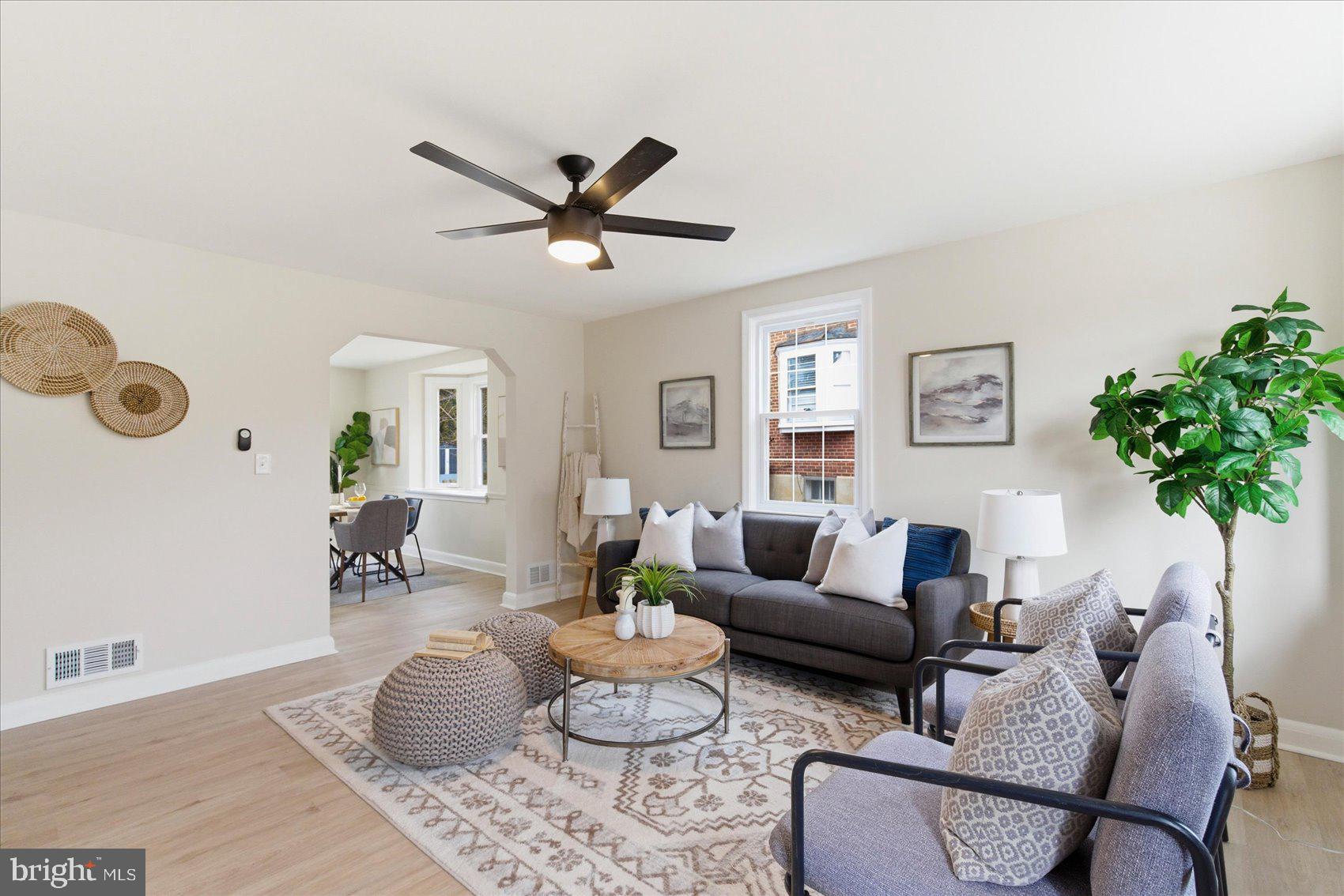 a living room with furniture and a potted plant