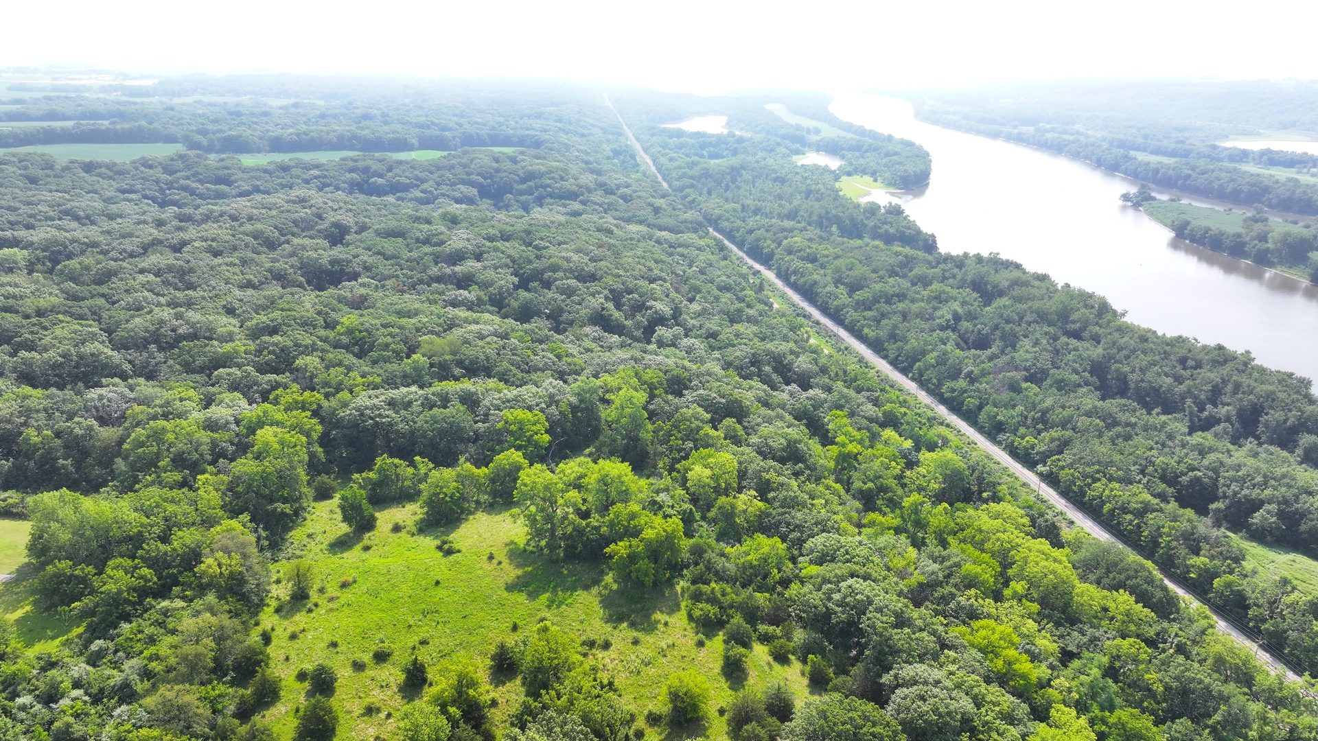 0 1250 1250 N Avenue Spring Valley, IL 61362 - Photo 3 of 4 a view of a forest with a mountain