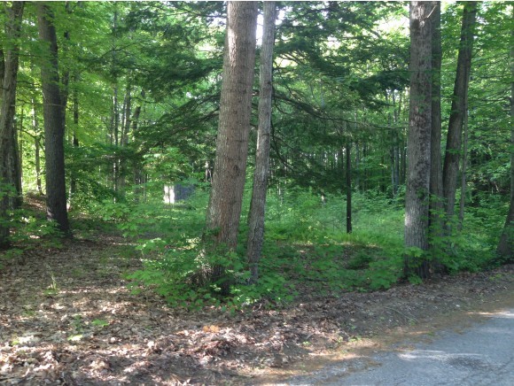 0 Griffin Road Franklin, NH 03235 - Photo 6 of 10
