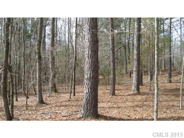 32.00 Darby Road Chester, SC 29706 - Photo 1 of 9