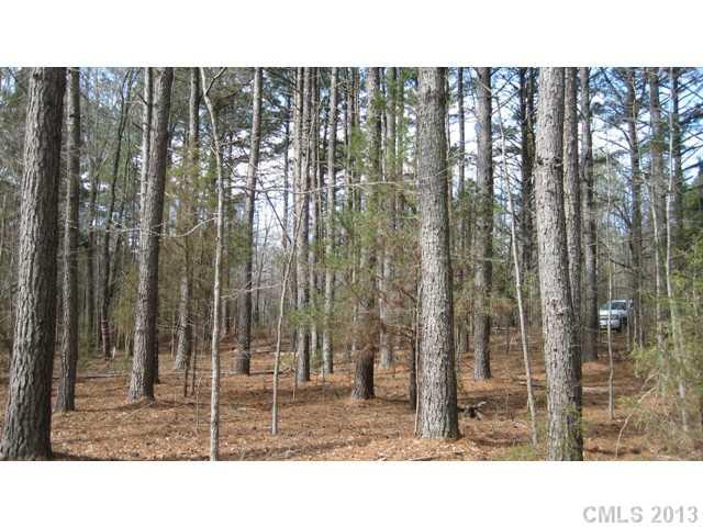 32.00 Darby Road Chester, SC 29706 - Photo 4 of 9