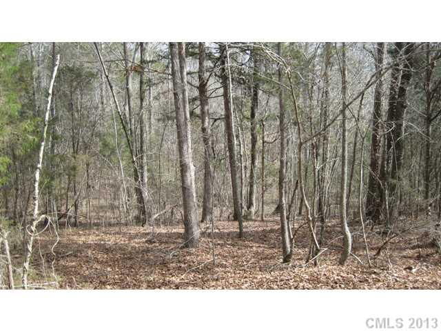 32.00 Darby Road Chester, SC 29706 - Photo 5 of 9