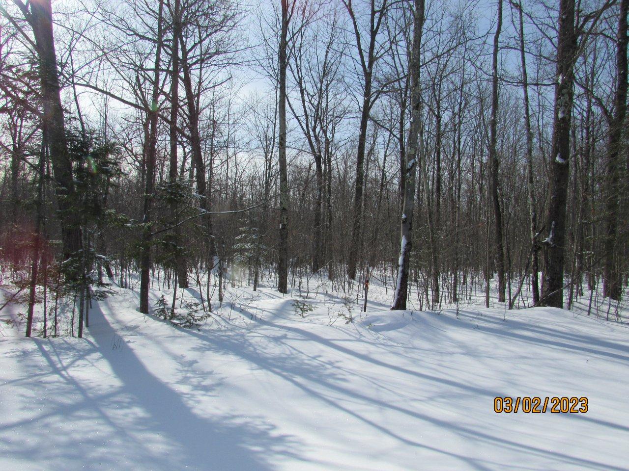 On Wonder Road Phillips, WI 54555 - Photo 2 of 19 Gallery Image 2