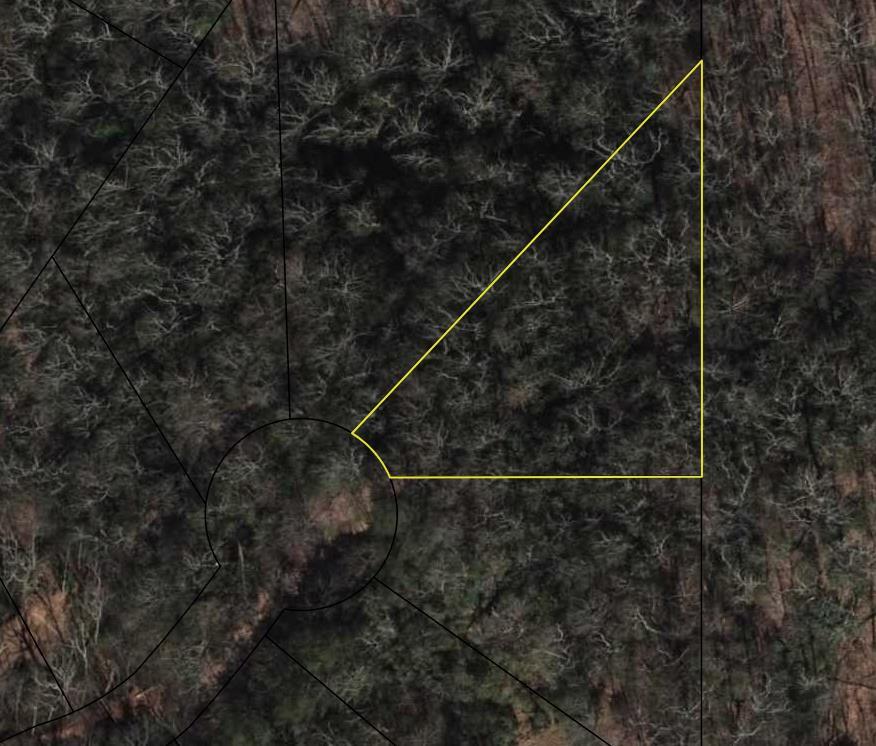 883 Rue Lane Rabun Gap, GA 30568 - Photo 3 of 5