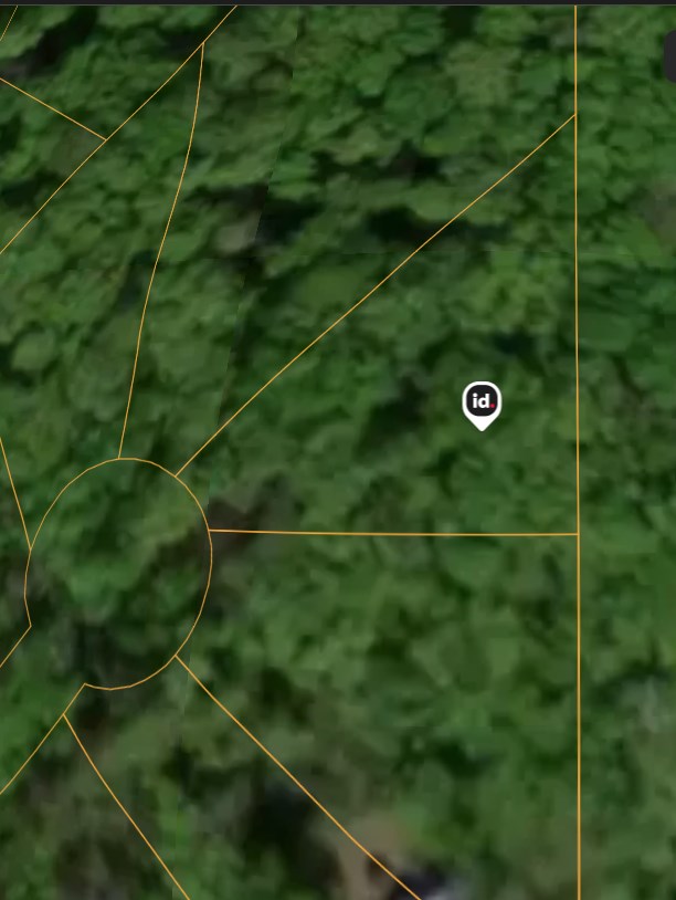 883 Rue Lane Rabun Gap, GA 30568 - Photo 4 of 5