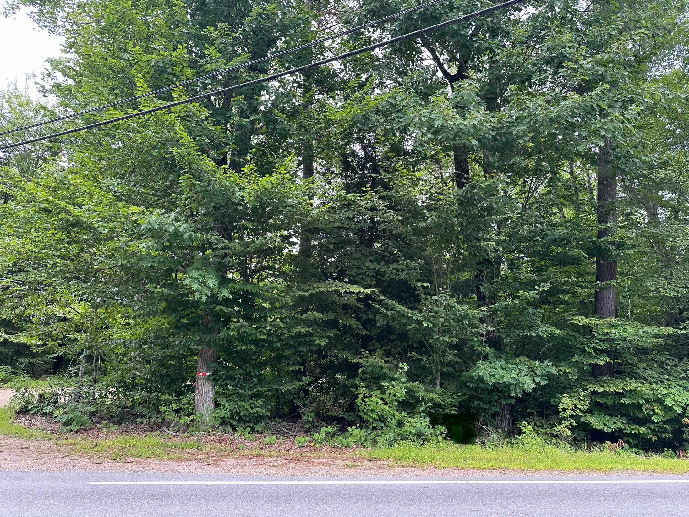 Fox Road Middleton, NH 03887 - Photo 1 of 6