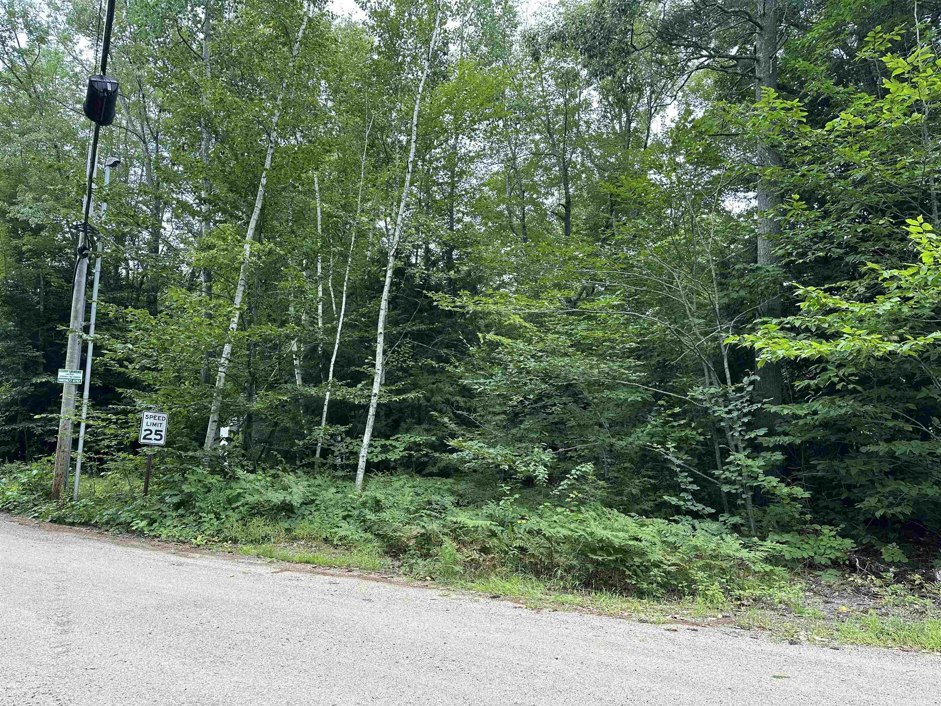 Fox Road Middleton, NH 03887 - Photo 2 of 6