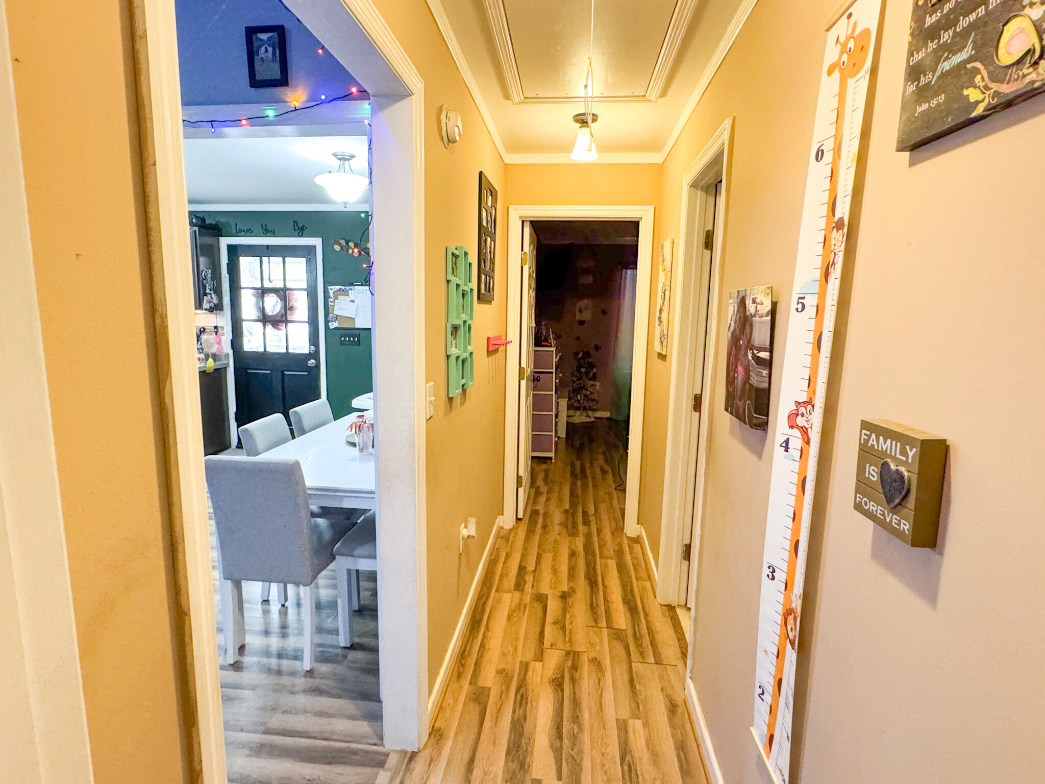 4792 Lodge Road Ehrhardt, SC 29081 - Photo 15 of 26 IMG_3327