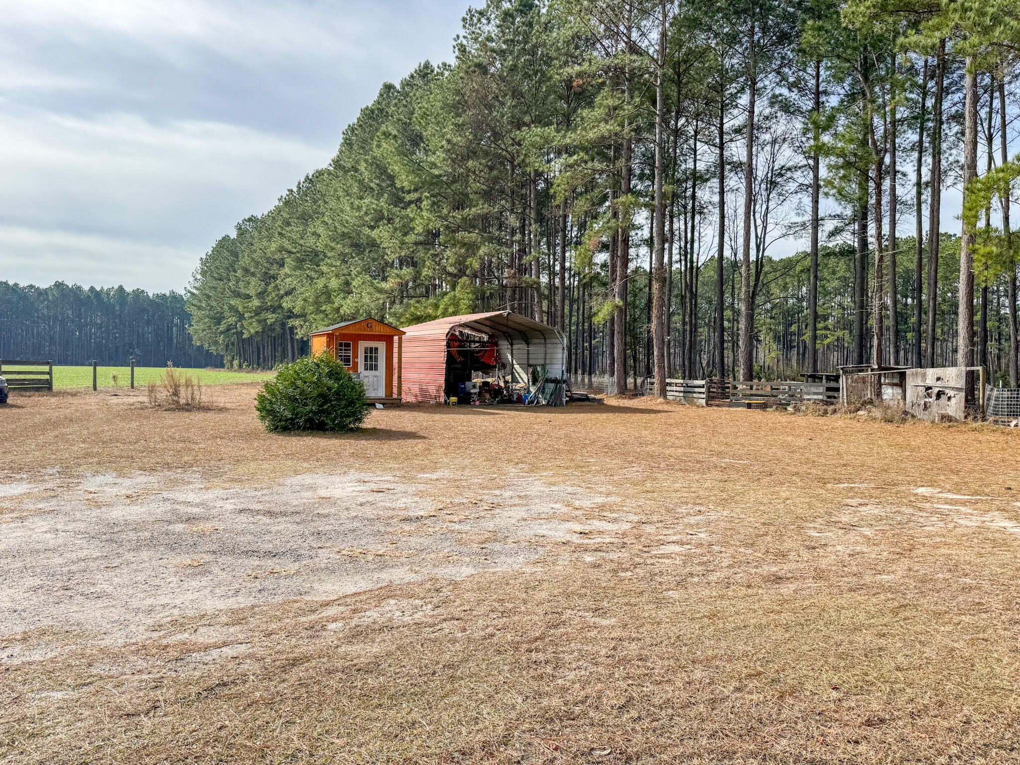 4792 Lodge Road Ehrhardt, SC 29081 - Photo 7 of 26 IMG_3314