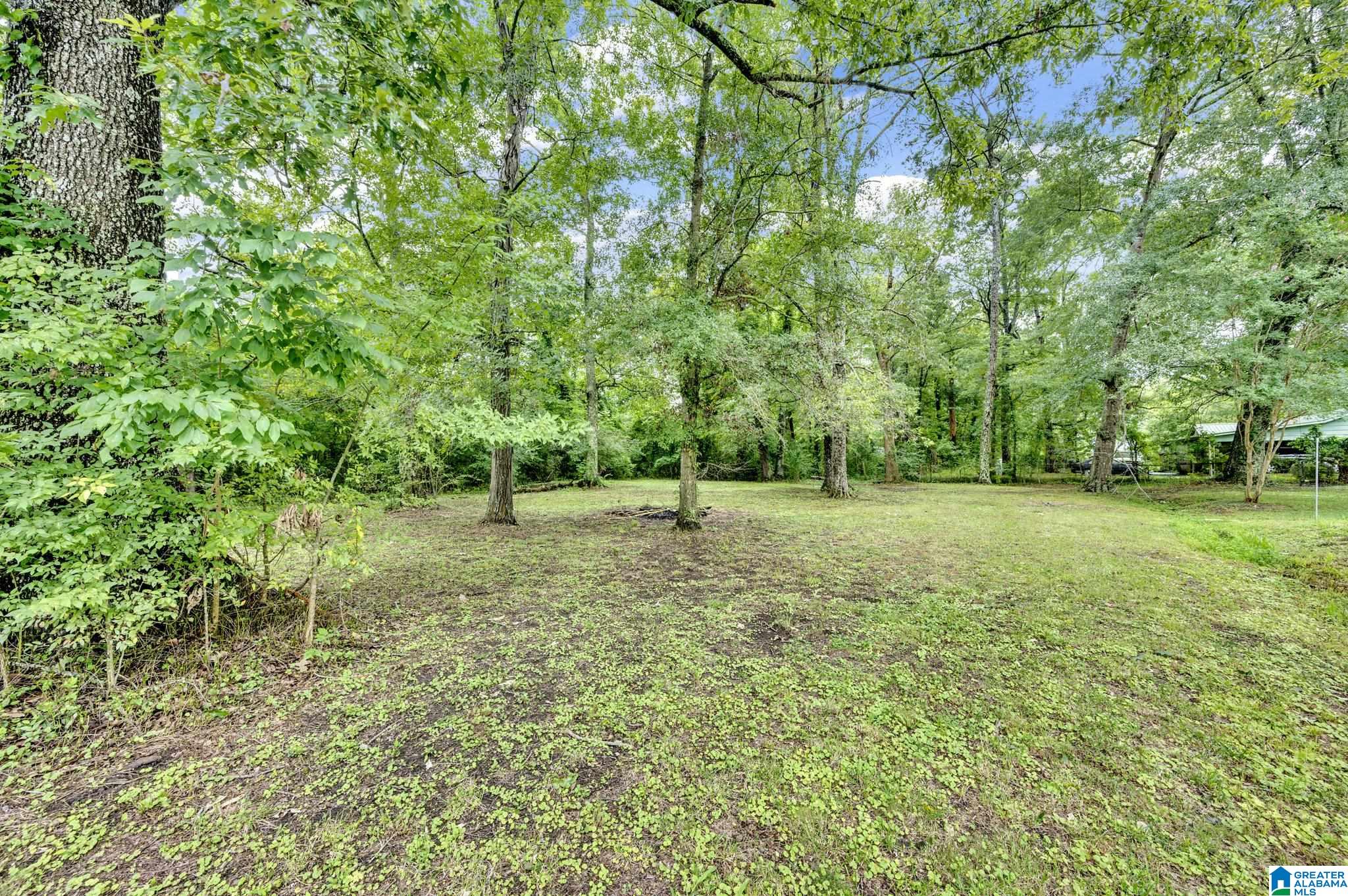 13596 Highway 11 Springville, AL 35146 - Photo 7 of 27