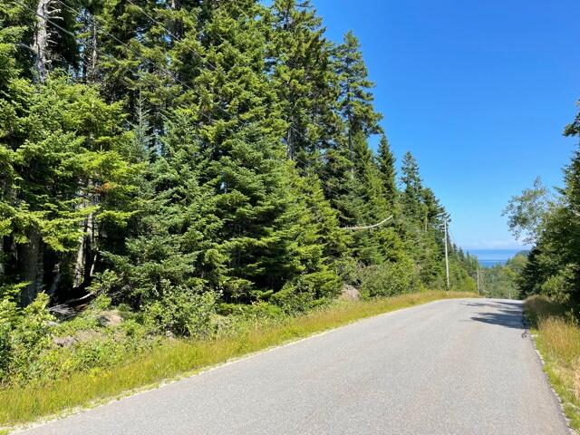 Xx Destiny Bay Road Cutler, ME 04626 - Photo 22 of 27 IMG_5694