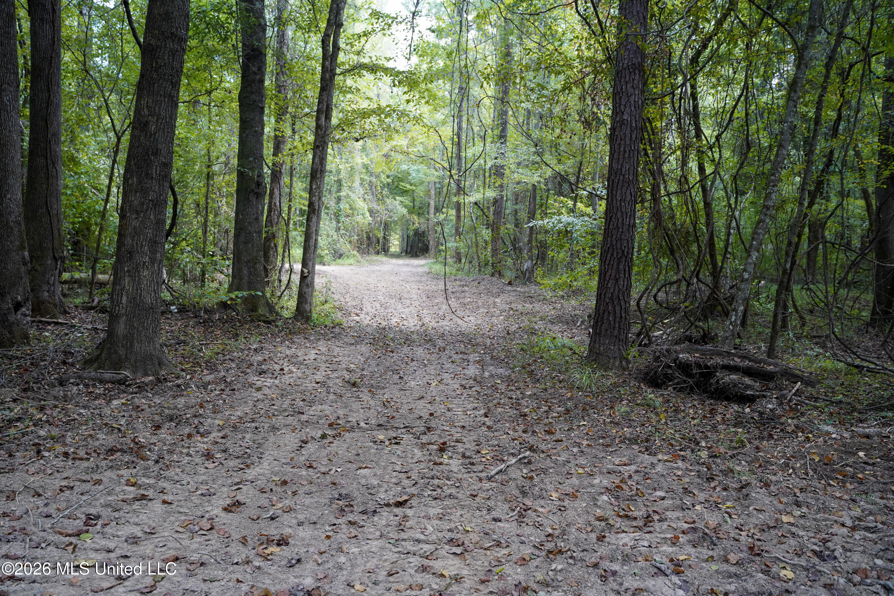 Mcintyre Road Brandon, MS 39042 - Photo 46 of 100 68-DSC08661