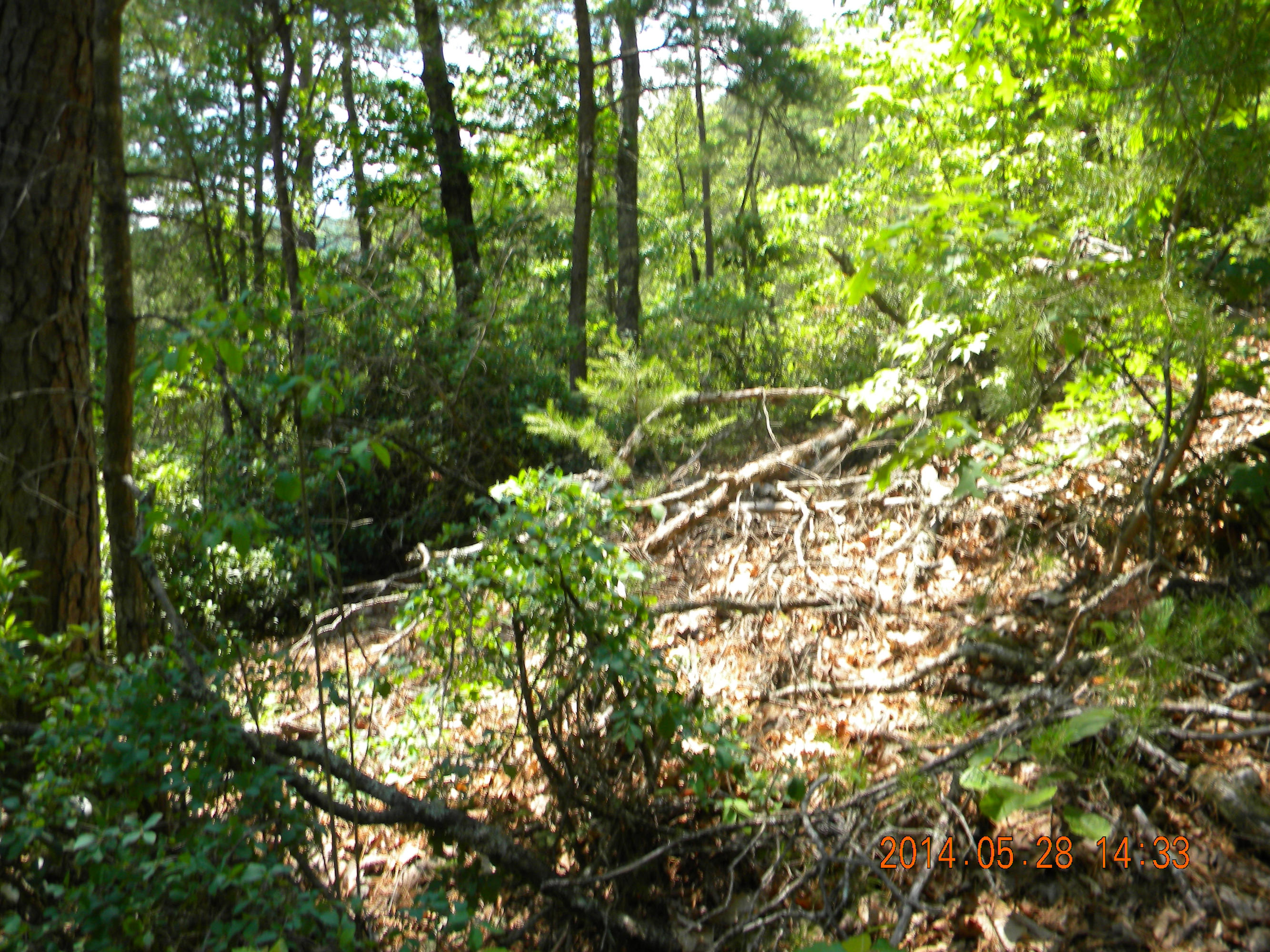 Lot 4 Walden Ridge Road Sevierville, TN 37862 - Photo 4 of 11 DSCN0096