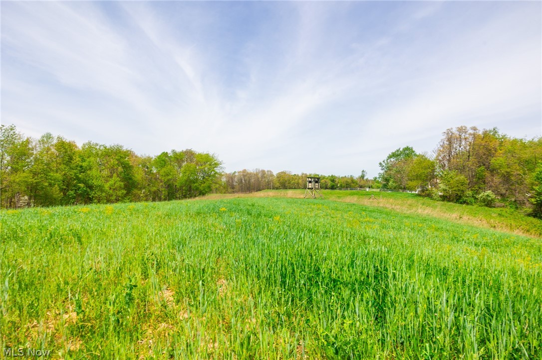 6268 Kings Ridge Road Newcomerstown, OH 43832 - Photo 12 of 46