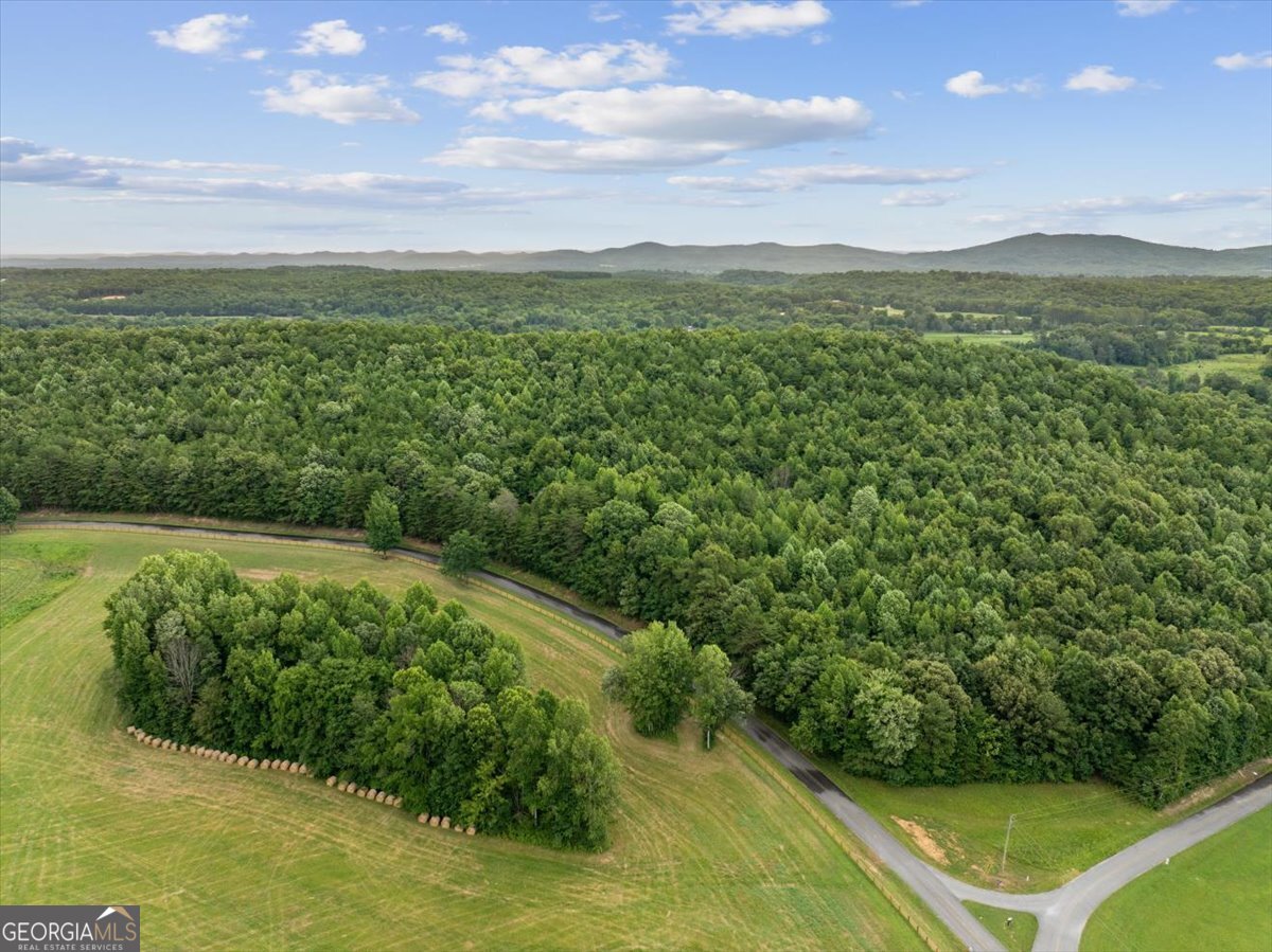 0 Fricks Gap Road, Unit LOT #4 Chickamauga, GA 30707 - Photo 11 of 13
