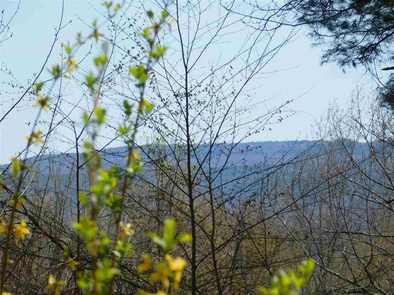 102 Woodland Ridge Road Kerhonkson, NY 12446 - Photo 20 of 28 Photo 20