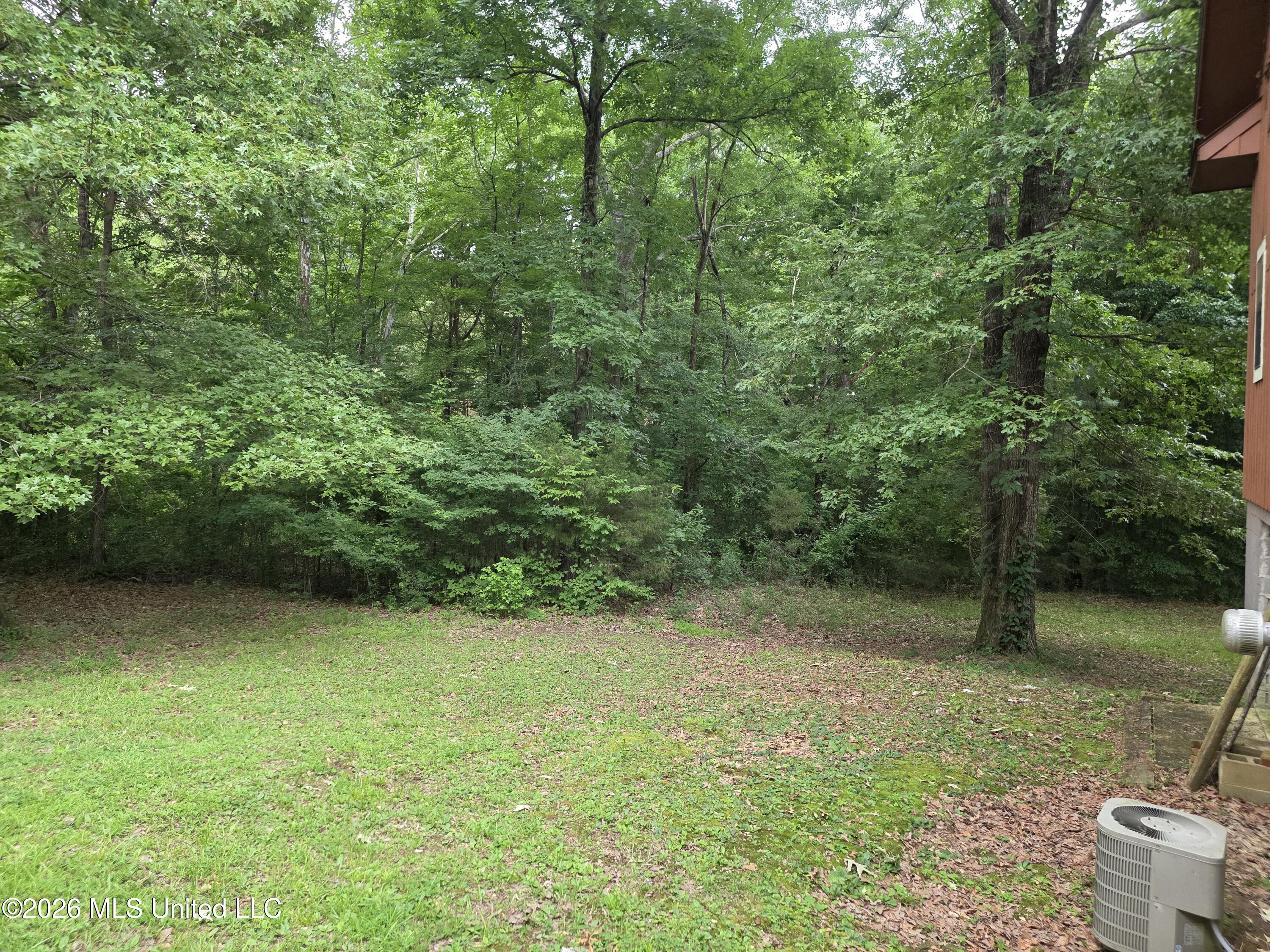 2025 Hendrix Road Coffeeville, MS 38922 - Photo 26 of 27 yard 3