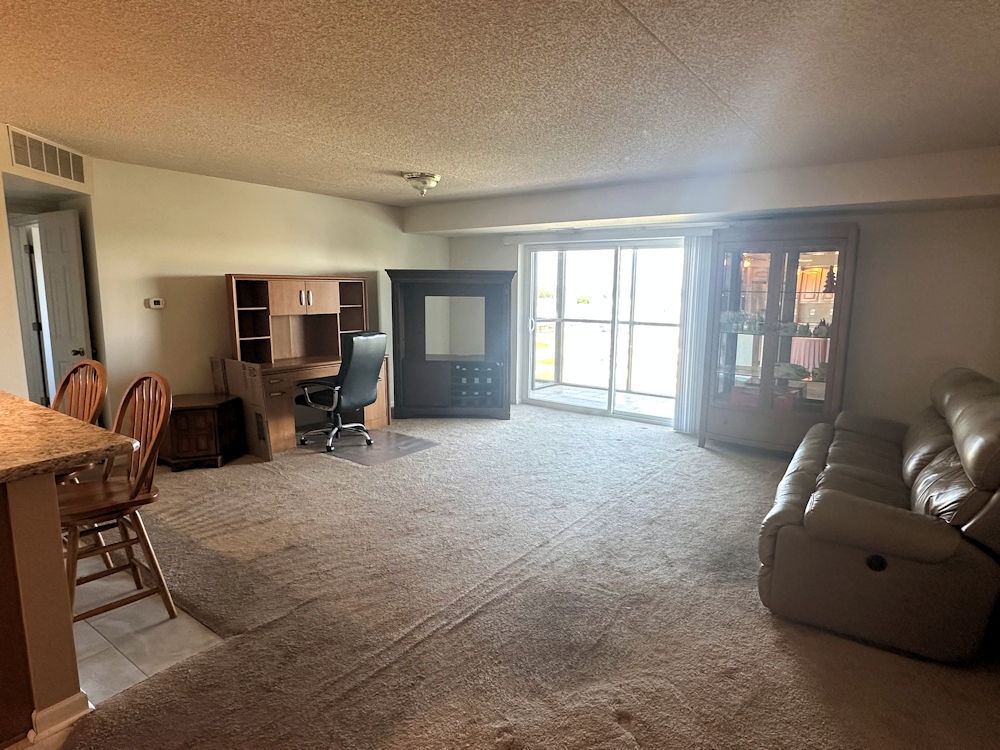 1133 North 7th Street, Unit 806 Rochelle, IL 61068 - Photo 4 of 12 Gallery Image 4