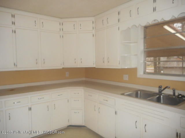 250 Meadowlark Road Winfield, AL 35594 - Photo 5 of 21 Gallery Image 5