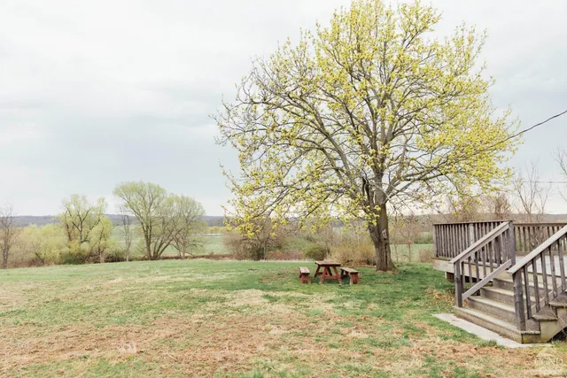 a view of backyard with trees