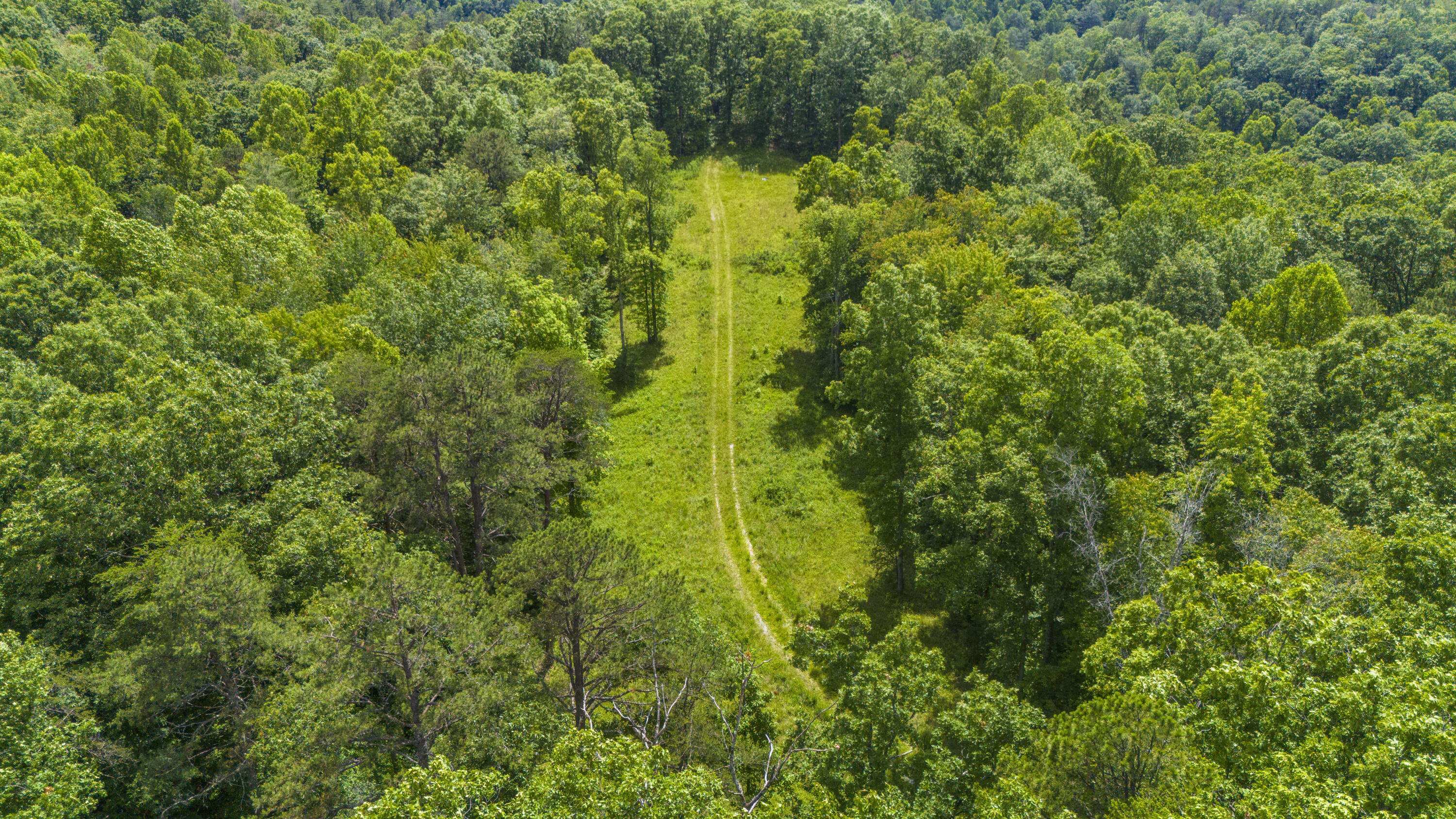 0 Shoemaker Ridge Zoe, KY 41397 - Photo 27 of 33 DJI_20250608152949_0052_D