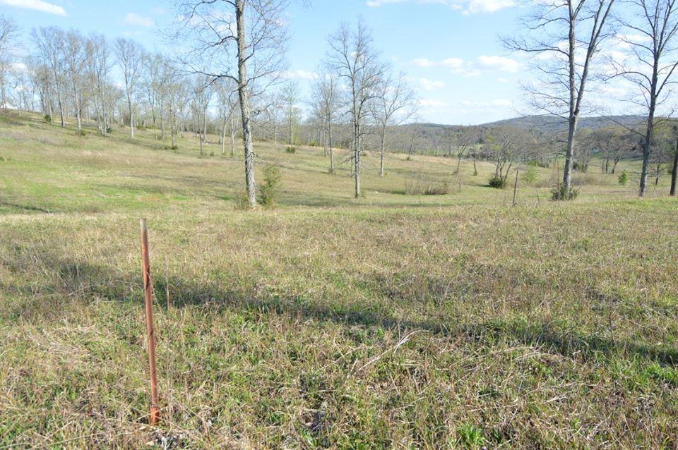 3545 Cainsville Road Lebanon, TN 37090 - Photo 3 of 8 Gallery Image 3