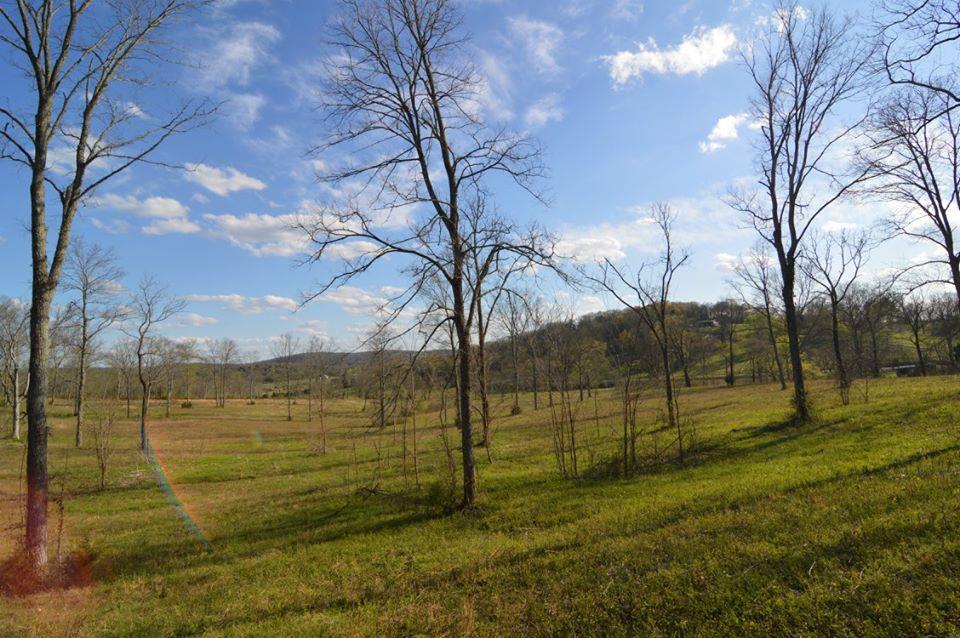 3545 Cainsville Road Lebanon, TN 37090 - Photo 5 of 8 Gallery Image 5