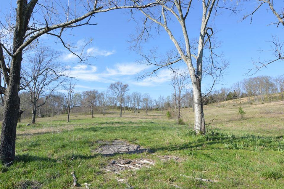 3545 Cainsville Road Lebanon, TN 37090 - Photo 8 of 8 Gallery Image 8