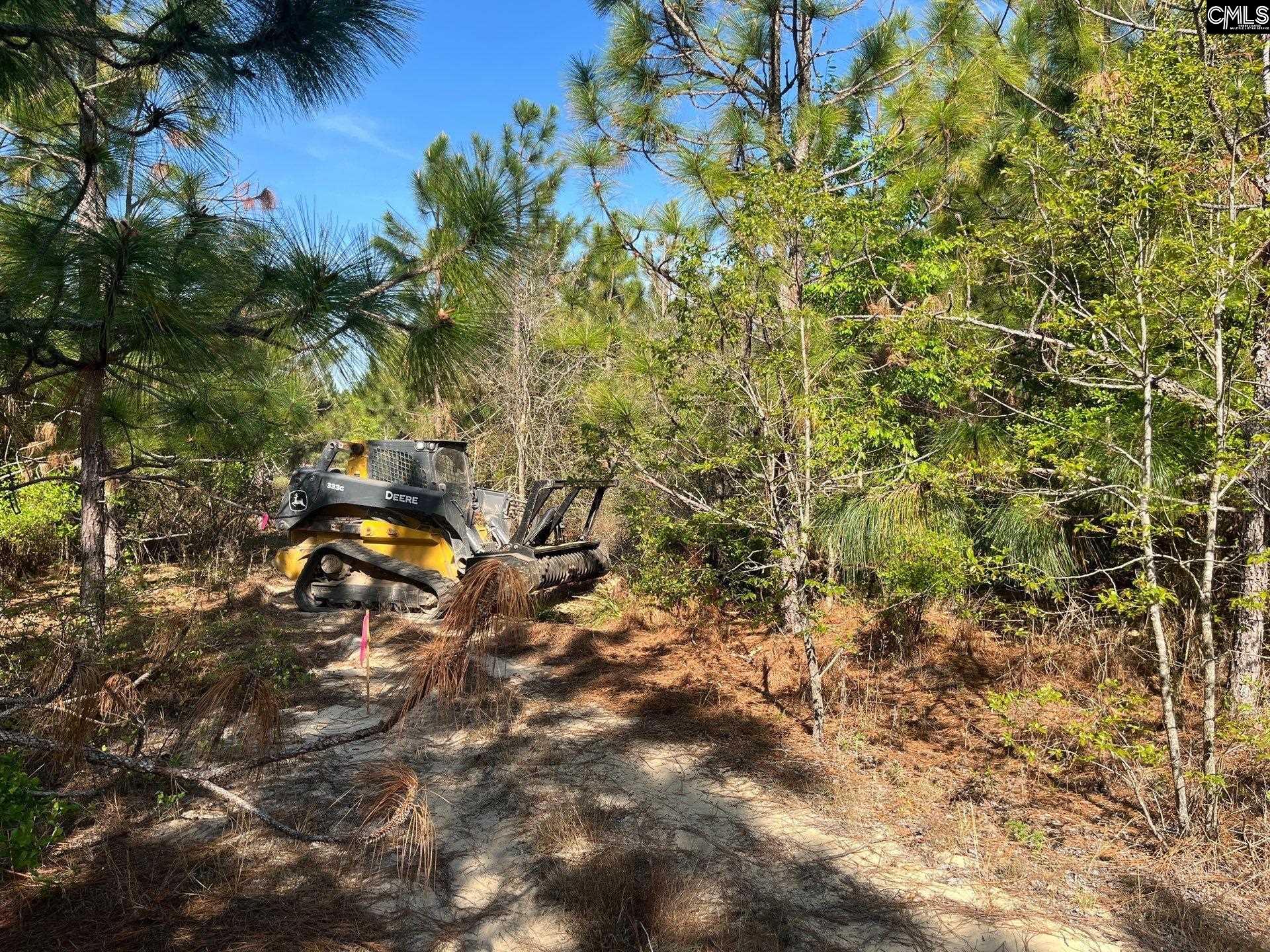 9 Beaver Dam Road Cassatt, SC 29032 - Photo 12 of 25