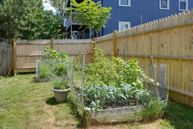 a view of a backyard with plants and large tree