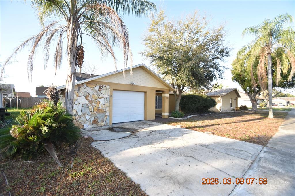 7338 Foxbloom Drive Port Richey, FL 34668 - Photo 40 of 40