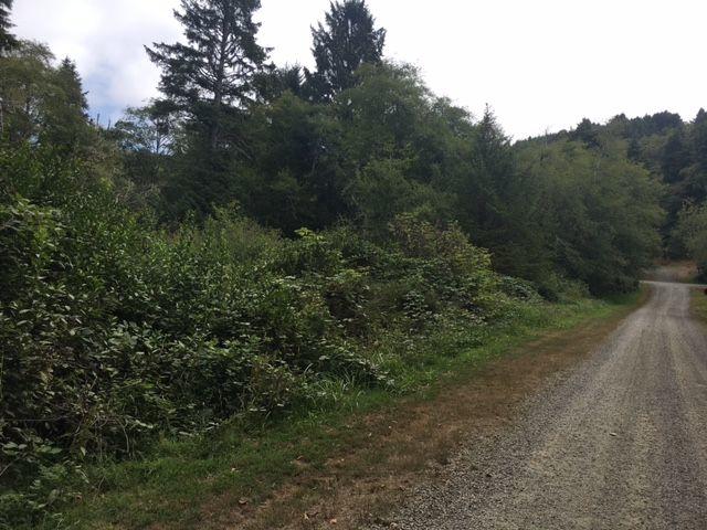 0 Th Rockaway Beach, OR 97136 - Photo 1 of 10 1