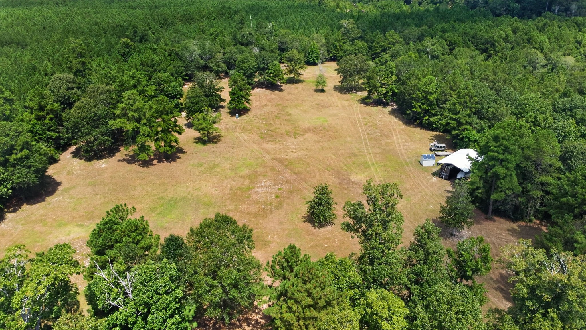 272 Tom Marsh Road Livingston, TX 77351 - Photo 48 of 50 Pasture Land/40' Class A RV Cover