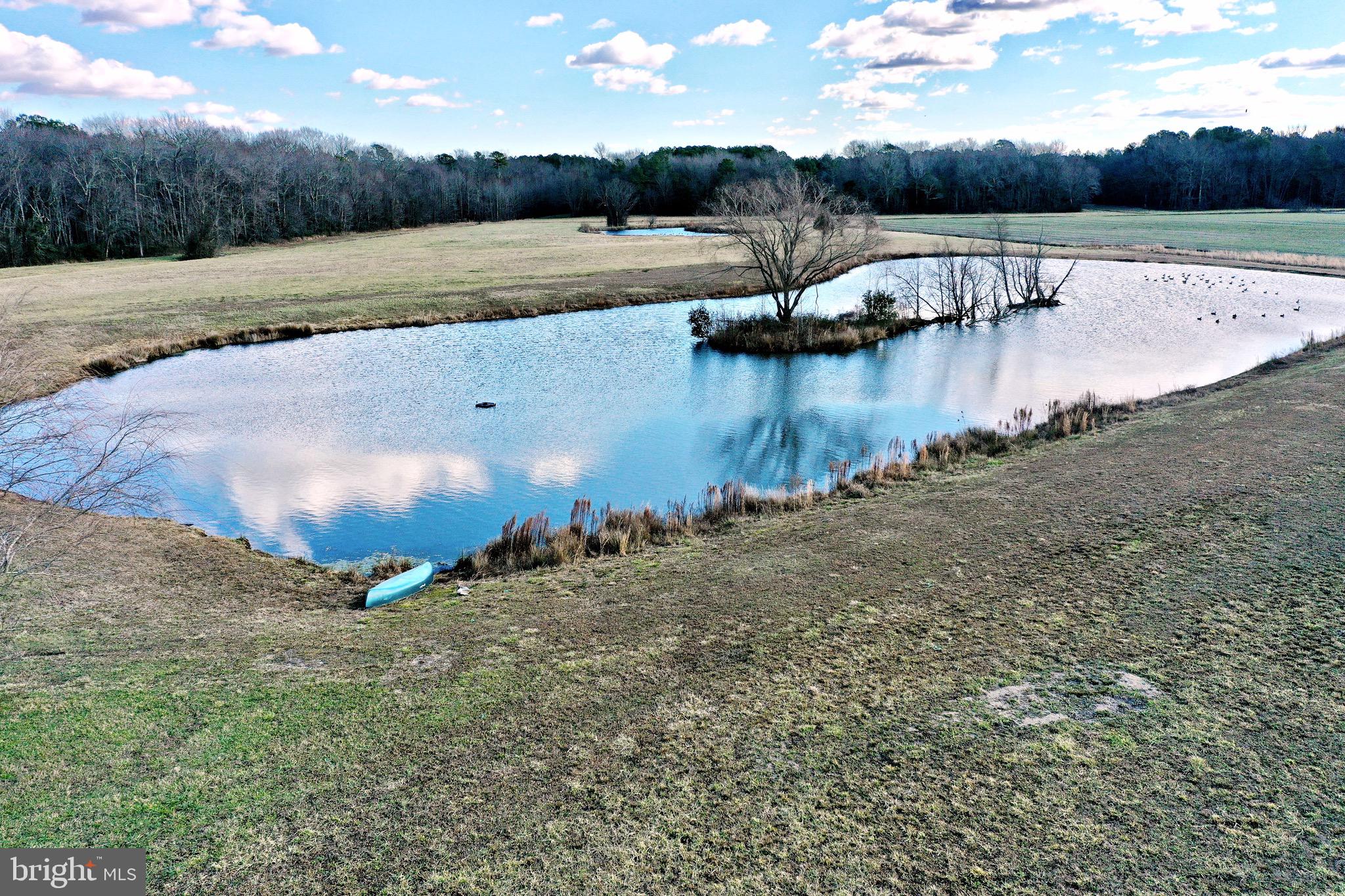 6925 Eastside Road Parsonsburg, MD 21849 - Photo 133 of 145 Gallery Image 133