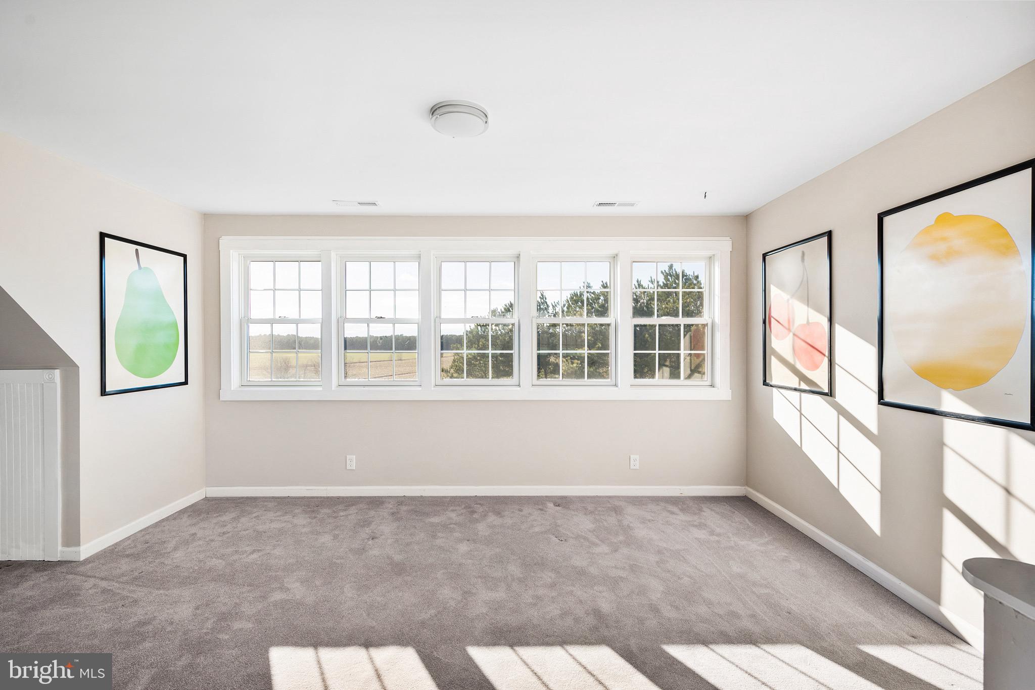 6925 Eastside Road Parsonsburg, MD 21849 - Photo 54 of 145 Gallery Image 54