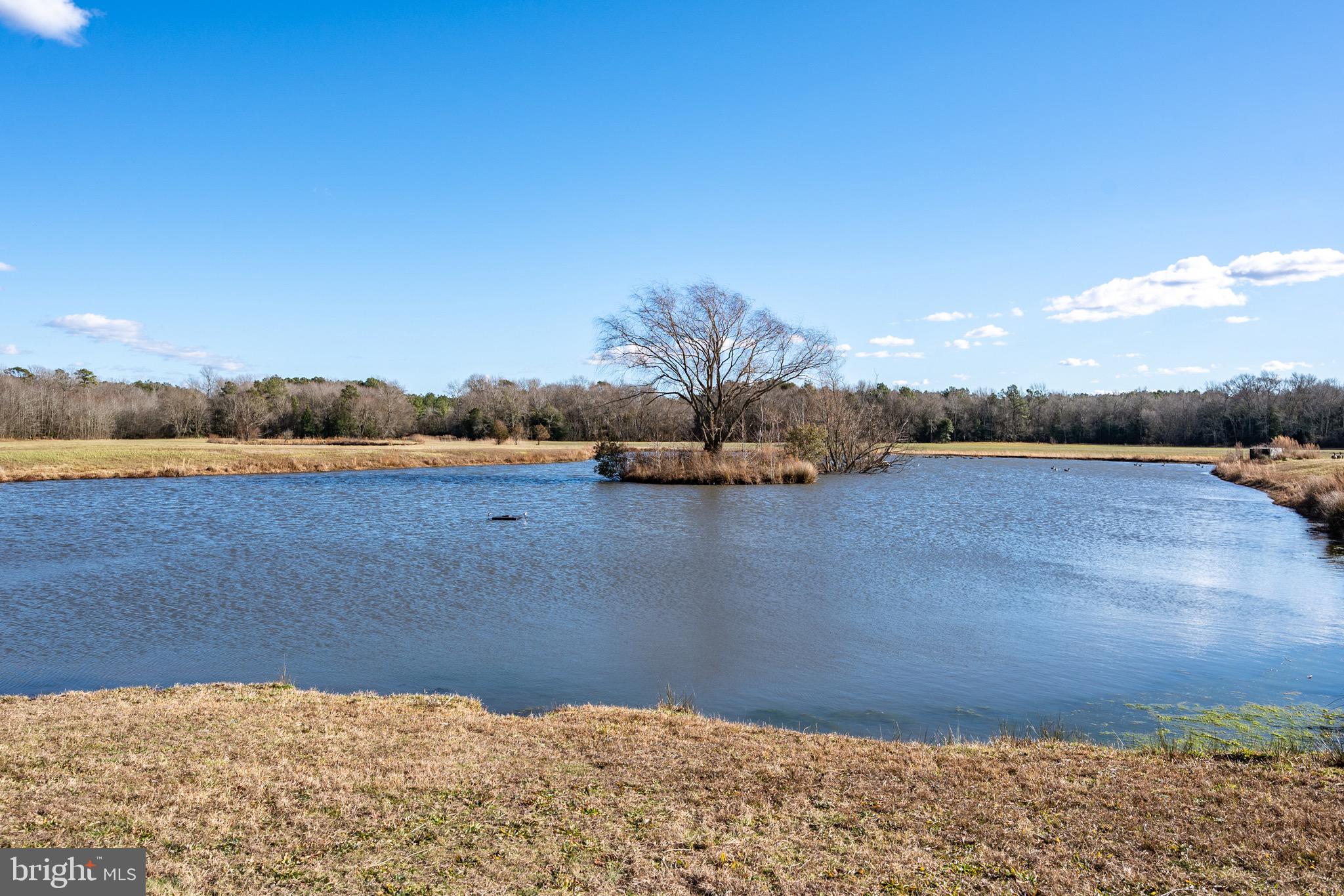 6925 Eastside Road Parsonsburg, MD 21849 - Photo 85 of 145 Gallery Image 85